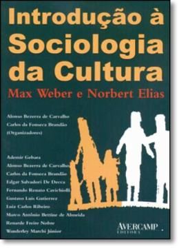 Imagem de INTRODUCAO A SOCIOLOGIA DA CULTURA