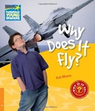 Imagem de WHY DOES IT FLY? 6 - FACTBOOK