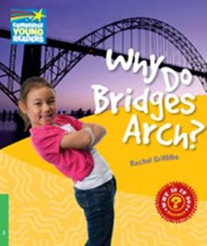 Imagem de WHY DO BRIDGES ARCH? - LEVEL 3