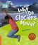 Imagem de WHY DO GLACIERS MOVE? 6