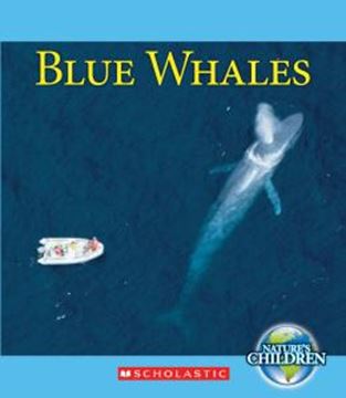 Imagem de BLUE WHALES
