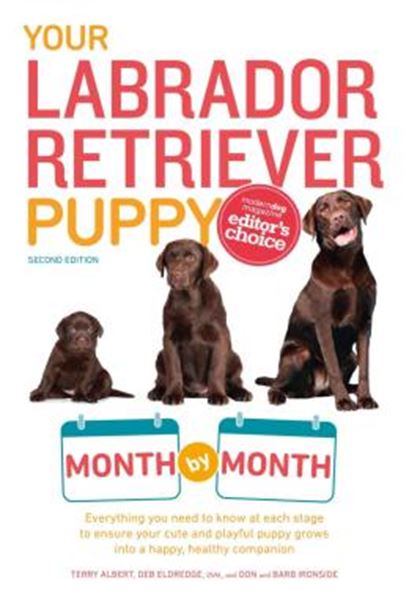 Picture of YOUR LABRADOR RETRIEVER PUPPY - MONTH BY MONTH - EVERYTHING YOU NEED TO KNOW AT EACH STAGE OF DEVELOPMENT - 2ND EDITION