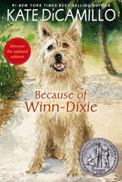 Picture of BECAUSE OF WINN-DIXIE - DISCOVER THE UPDATED EDITION