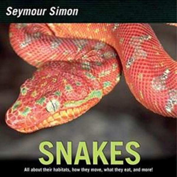 Picture of SNAKES 