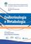 Imagem de VOLUME ENDOCRINOLOGIA E METABOLOGIA  SMMR
