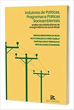 Imagem de INDUTORES DE POLITICAS, PROGRAMAS E PRATICAS SOCIOAMBIENTAIS ANALISE DAS DISTRIBUIDORAS DE ENERGIA ELETRICA DO SUL DO BRASIL