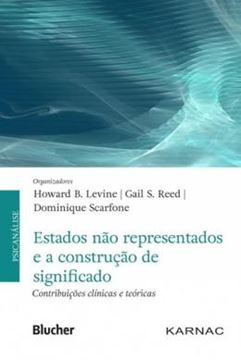 Imagem de ESTADOS NAO REPRESENTADOS E A CONSTRUCAO DE SIGNIFICADO - CONTRIBUICOES CLINICAS E TEORICAS