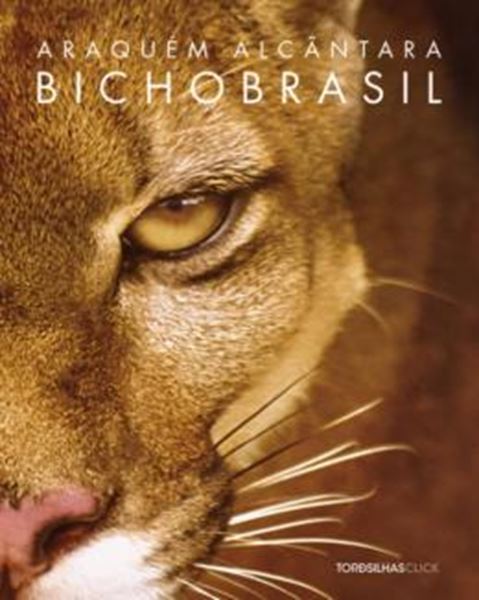 Picture of BICHO BRASIL