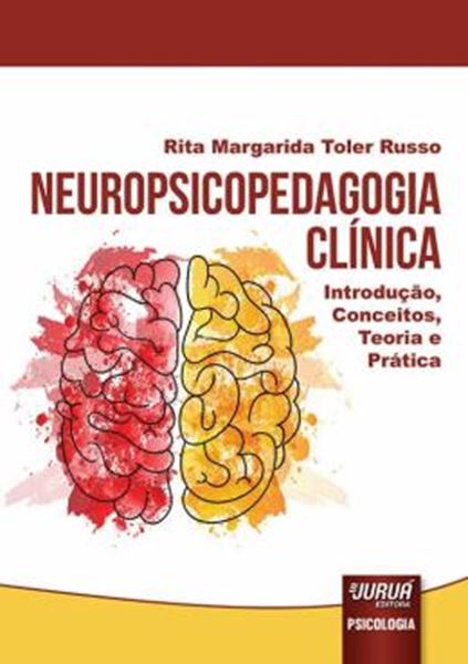 Picture of NEUROPSICOPEDAGOGIA CLINICA - INTRODUCAO, CONCEITOS, TEORIA E PRATICA