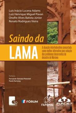 Imagem de SAINDO DA LAMA