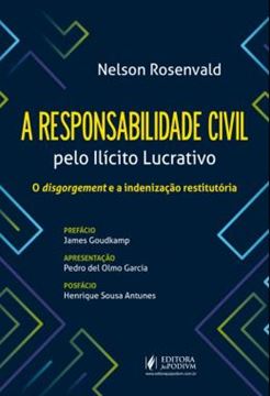Imagem de A RESPONSABILIDADE CIVIL PELO ILICITO LUCRATIVO - O DISGORGEMENT E A INDENIZACAO RESTITUTORIA
