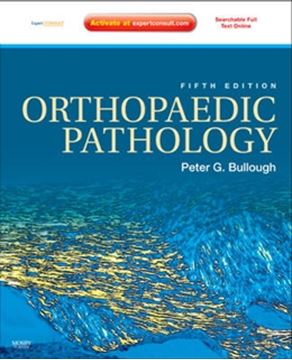 Imagem de ORTHOPAEDIC PATHOLOGY