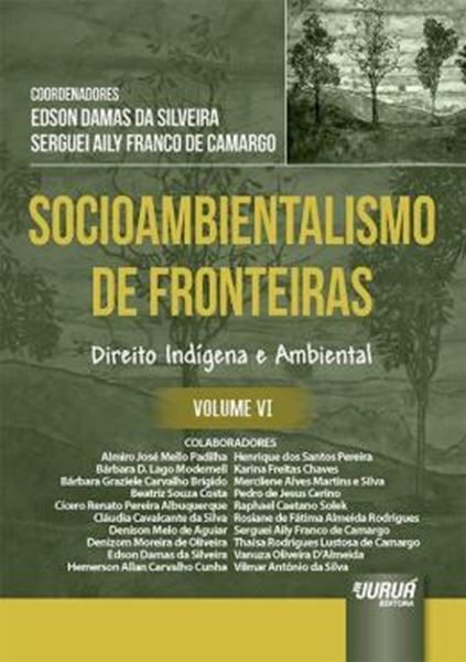 Picture of SOCIOAMBIENTALISMO DE FRONTEIRAS - VOLUME VI
