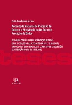 Imagem de AUTORIDADE NACIONAL DE PROTECAO DE DADOS E A EFETIVIDADE DA LEI GERAL DE PROTECAO DE DADOS