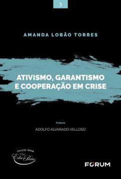 Imagem de ATIVISMO, GARANTISMO E COOPERACAO EM CRISE