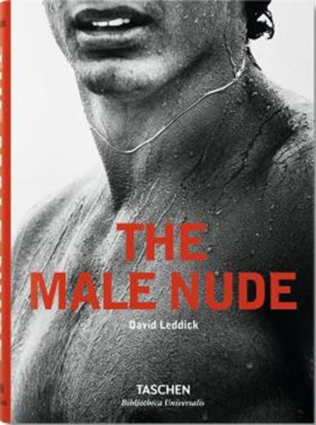 Picture of THE MALE NUDE
