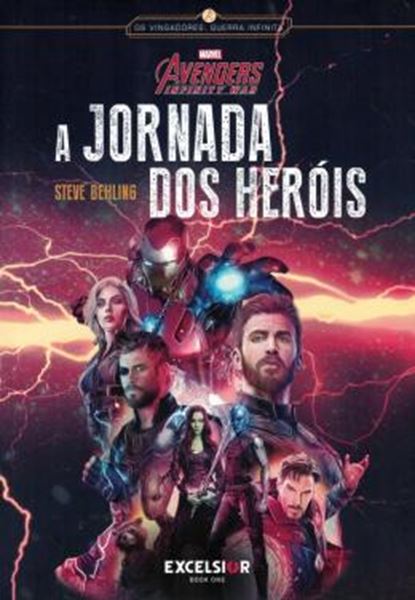Picture of VINGADORES: GUERRA INFINITA - A JORNADA DOS HEROIS