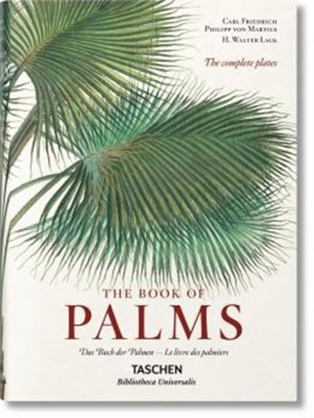 Picture of THE BOOK OF PALMS