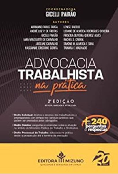 Picture of ADVOCACIA TRABALHISTA NA PRATICA 2ª ED