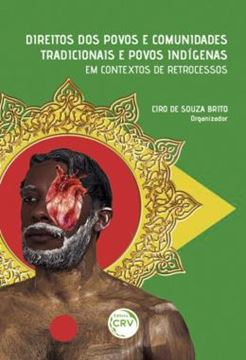 Imagem de DIREITOS DOS POVOS E COMUNIDADES TRADICIONAIS E POVOS INDIGENAS EM CONTEXTOS DE RETROCESSOS