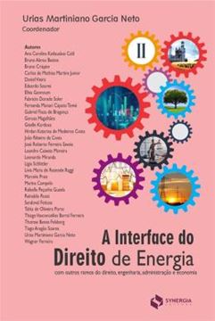 Imagem de A INTERFACE DO DIREITO DE ENERGIA TOMO II