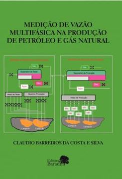 Imagem de MEDICAO DE VAZAO MULTIFASICA NA PRODUCAO DE PETROLEO E GAS NATURAL