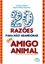 Imagem de 20 RAZOES PARA NAO ABANDONAR UM AMIGO ANIMAL
