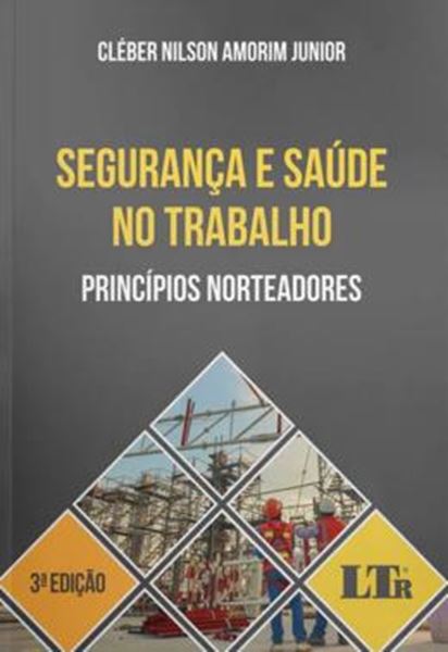 Picture of SEGURANCA E SAUDE NO TRABALHO - PRINCIPIOS NORTEADORES
