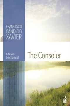 Imagem de THE CONSOLER (O CONSOLADOR - INGLES)