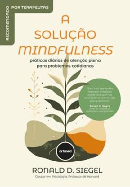 Picture of A SOLUCAO MINDFULNESS