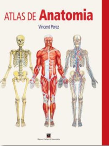 Picture of ATLAS DE ANATOMIA