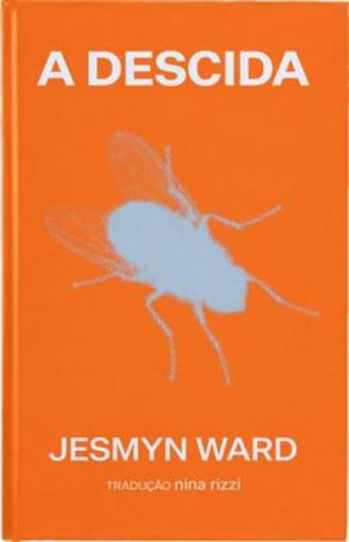 Picture of A DESCIDA